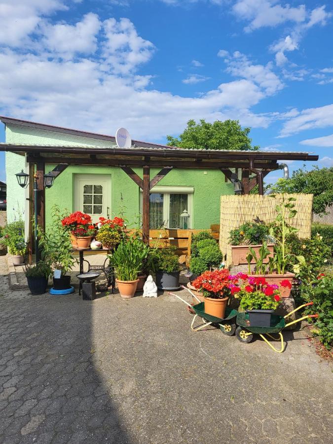 Ferienwohnung Bauerngarten Klein Vielen Esterno foto